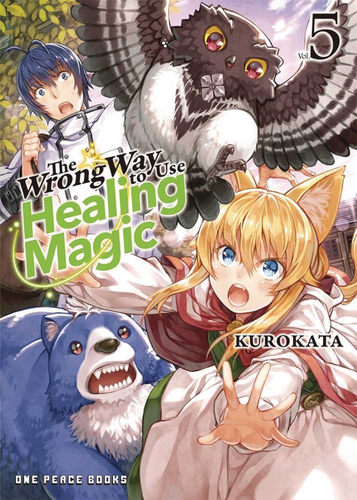 The Wrong Way To Use Healing Magic Light Novel Volume 05