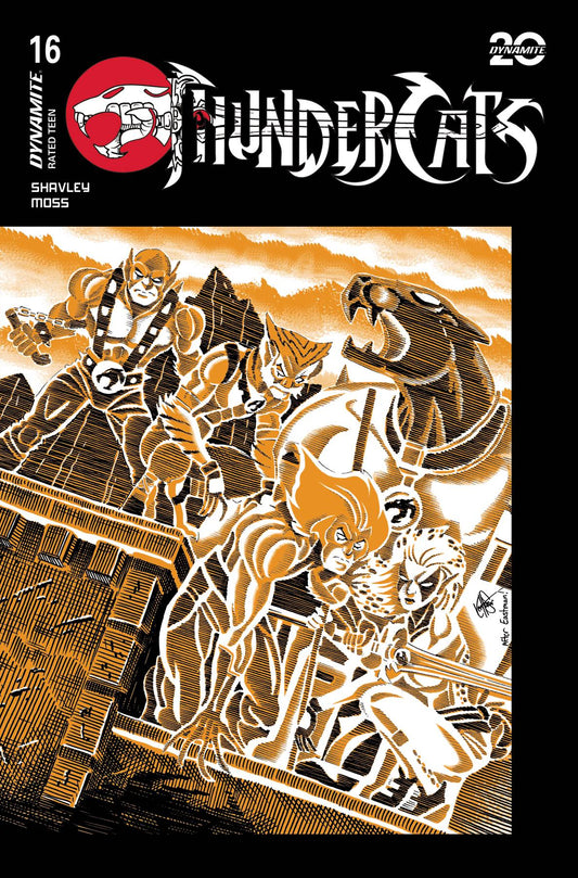 THUNDERCATS #16 CVR G HAESER TMNT HOMAGE (C: 1-0-0)