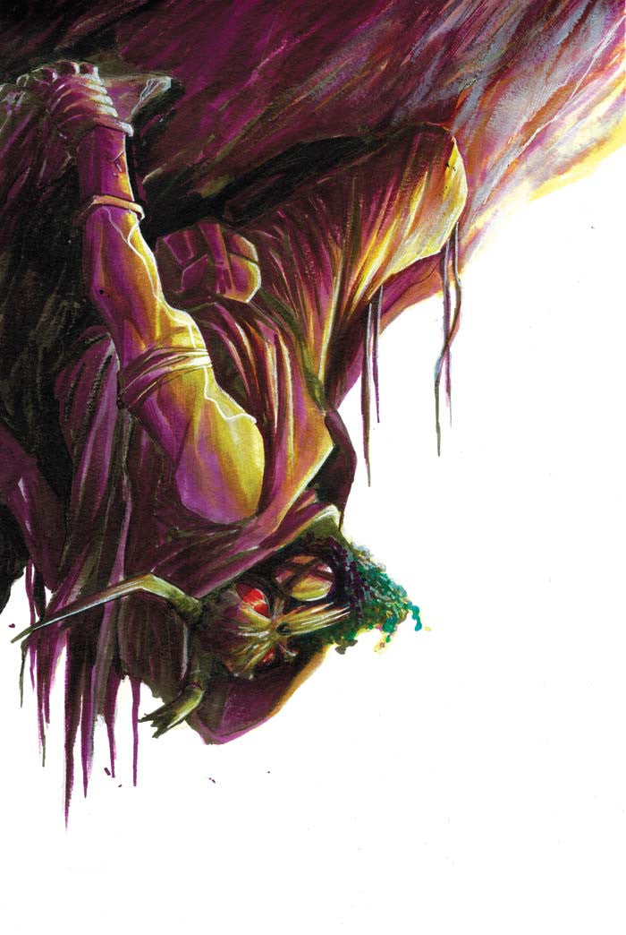 Ninja Funk #2 Secret Virgin Variant